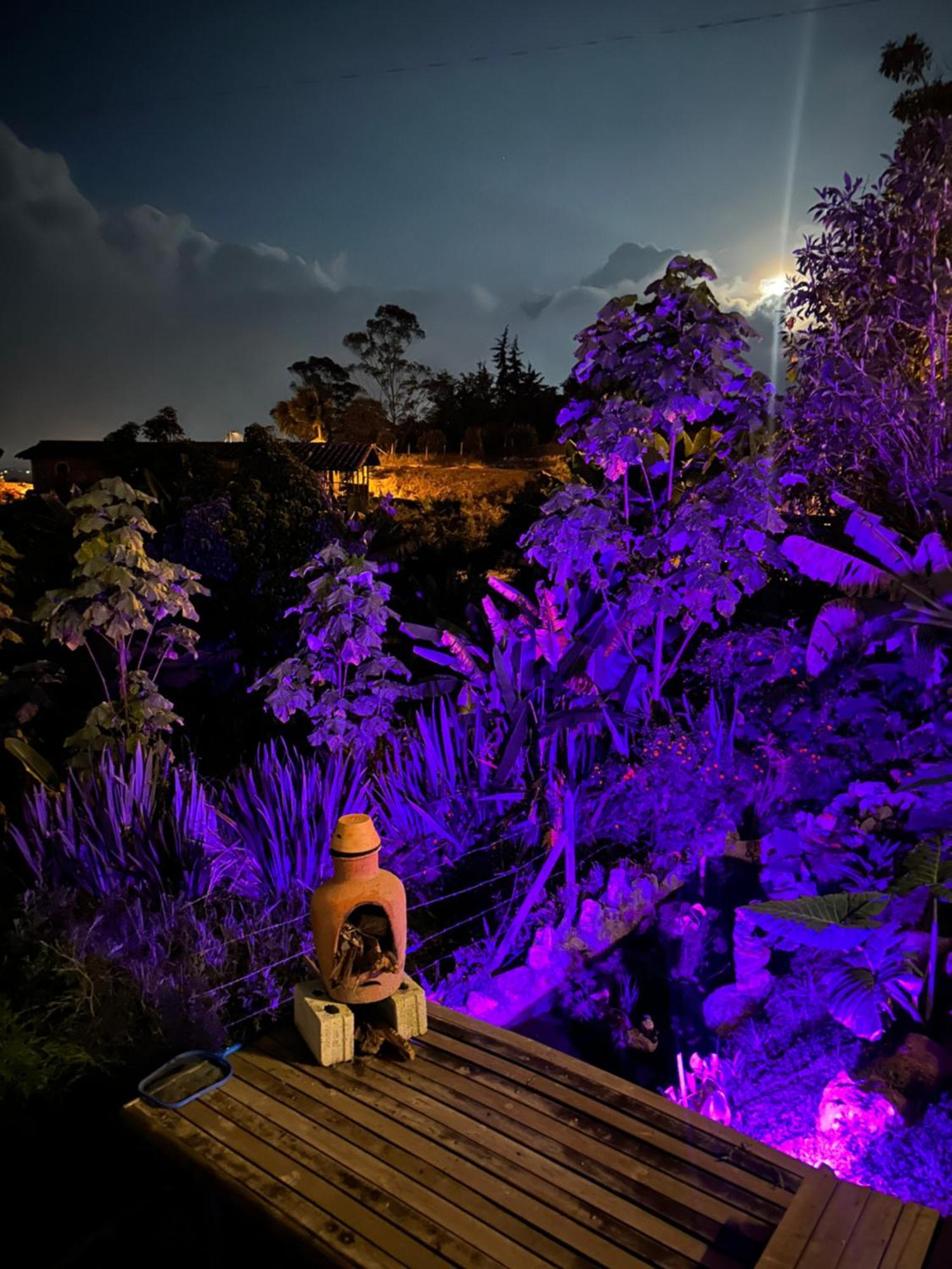 Cabanas Con Jacuzzi Y Chimenea - Casa Floral, Marinilla Zewnętrze zdjęcie