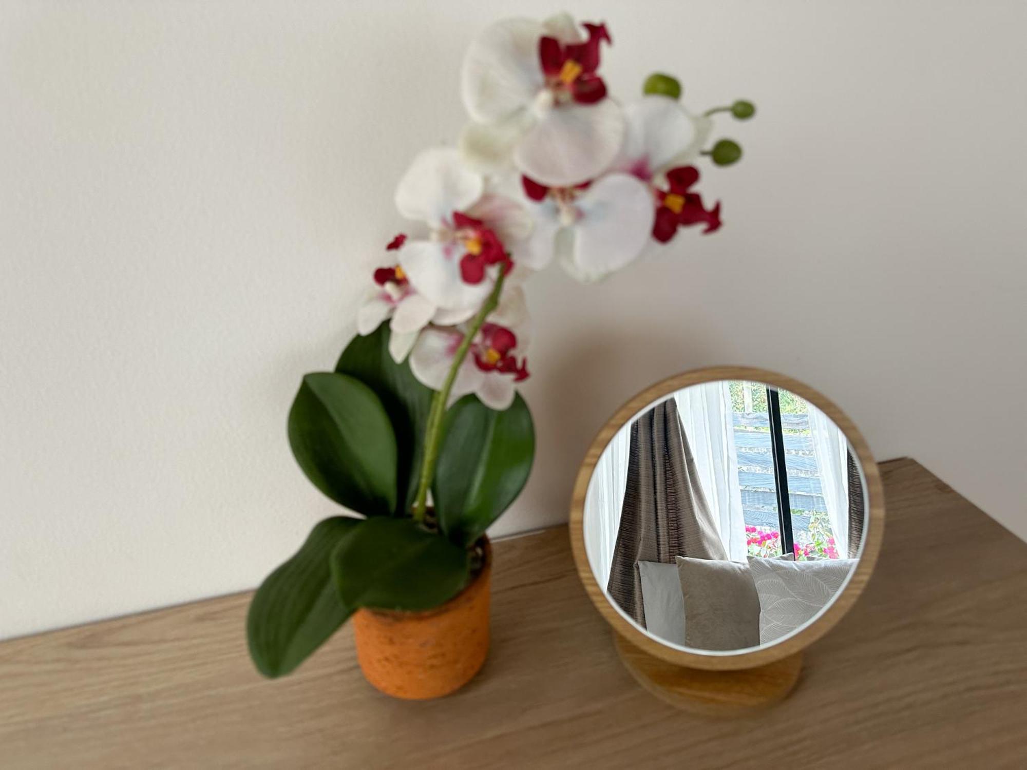 Cabanas Con Jacuzzi Y Chimenea - Casa Floral, Marinilla Zewnętrze zdjęcie